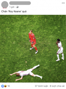 BLV Việt Khuê