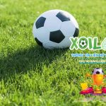 Xoilacz - Kênh trực tiếp bóng đá miễn phí mới nhất 2023