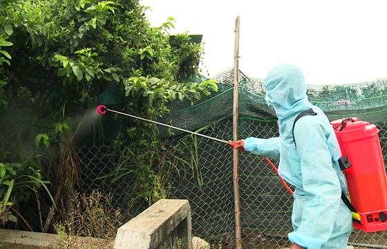 Nhân viên khử trùng phòng bệnh H5N6